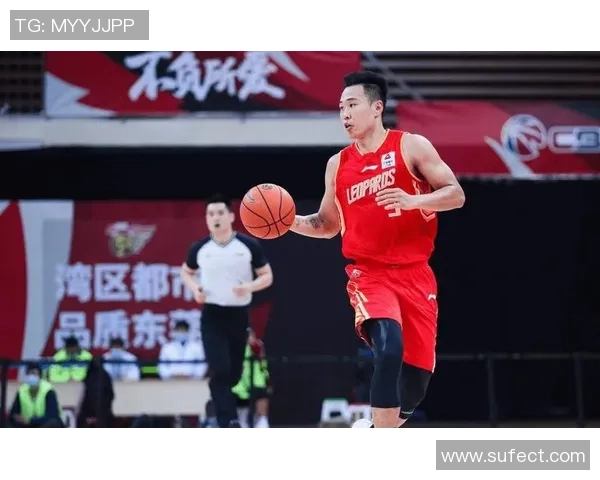 贺希宁:从篮球新星到职业生涯巅峰的成长之路与挑战